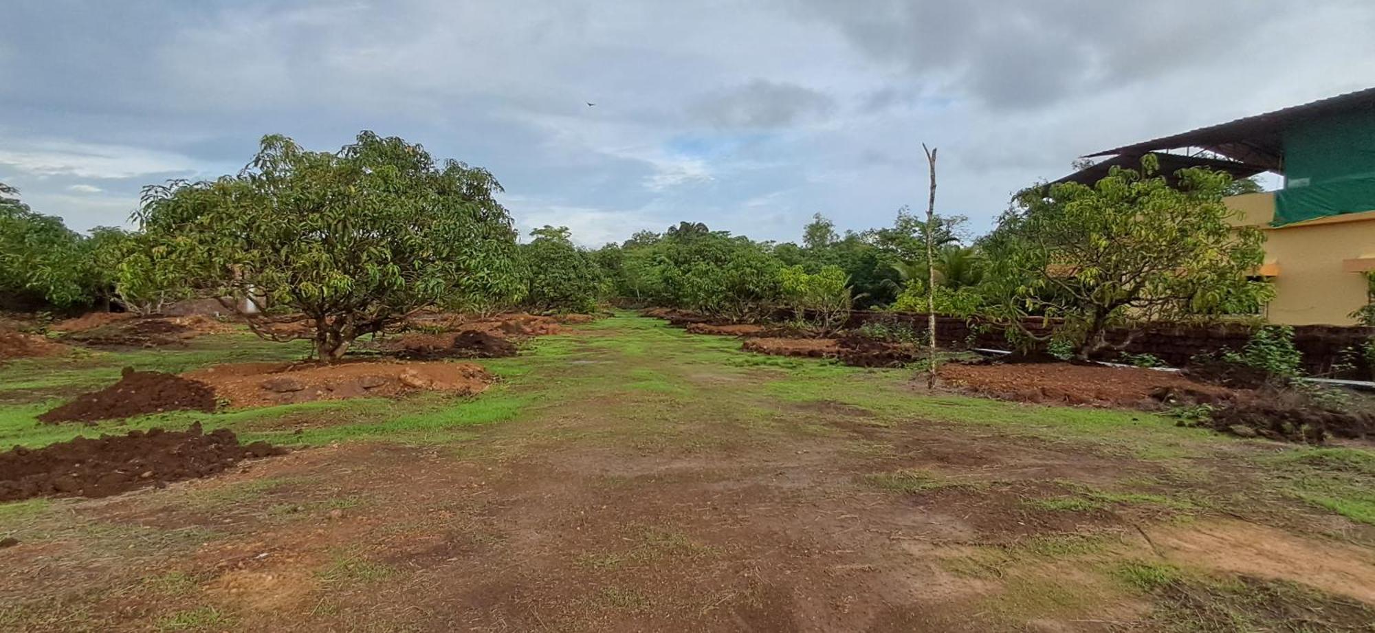 Arpita Farmstay Malvan Exterior photo