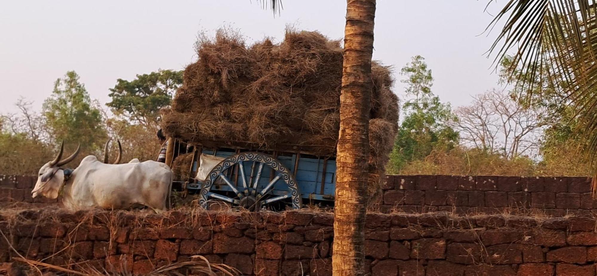 Arpita Farmstay Malvan Exterior photo