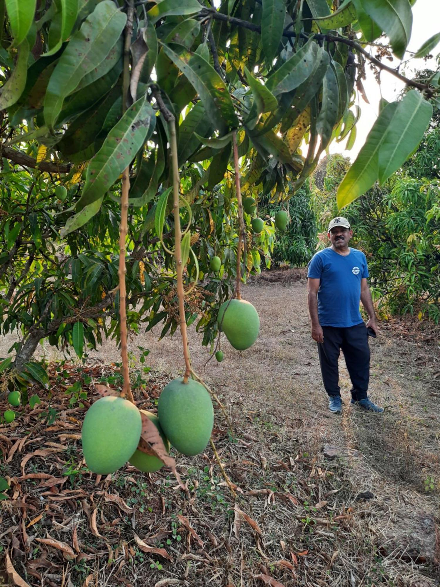 Arpita Farmstay Malvan Exterior photo
